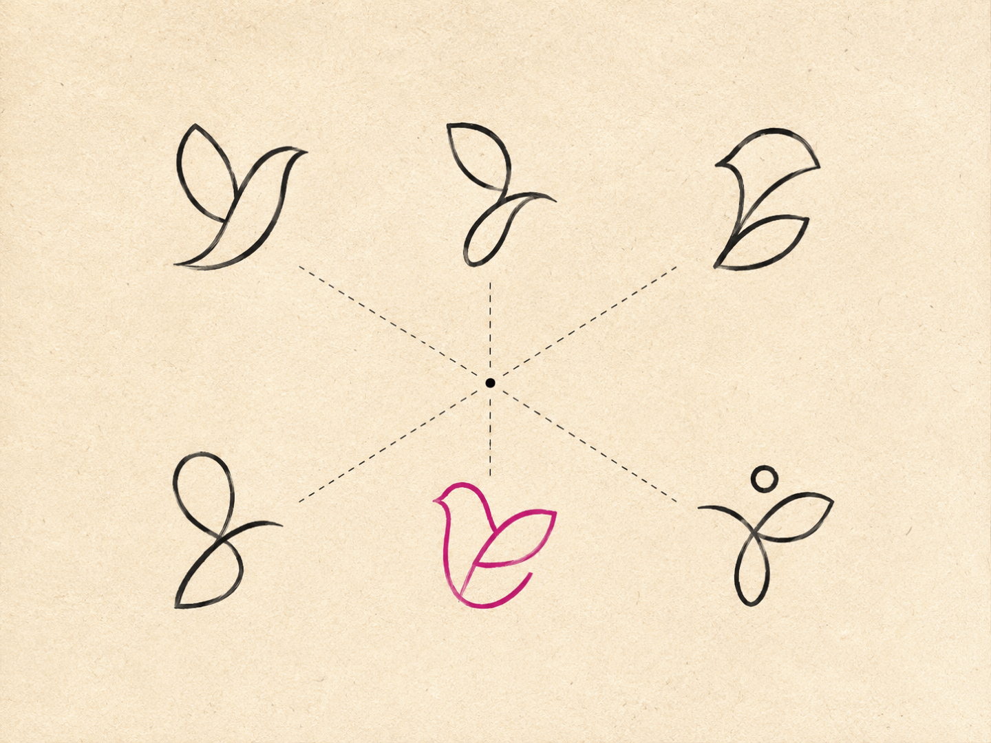 Six simple bird-like logo mark sketches radiating from a central point, with one highlighted in magenta